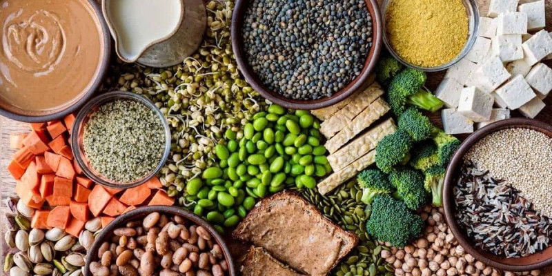 Рослинні джерела білка